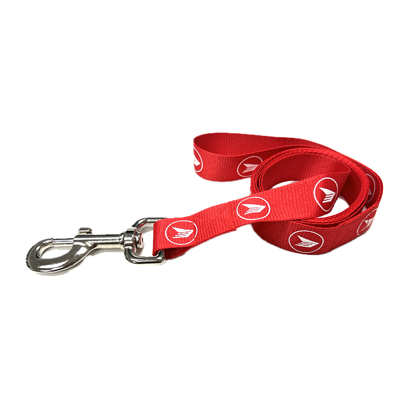Pet Leash